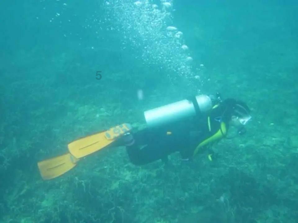 潍坊青州:铆足干劲拼开局 跑出发展加速度