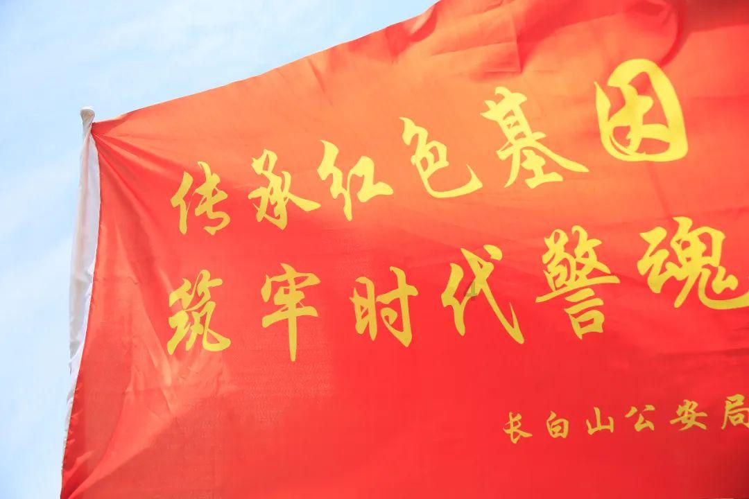 春雨直播app