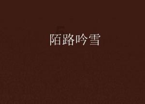 高空畅游的女孩