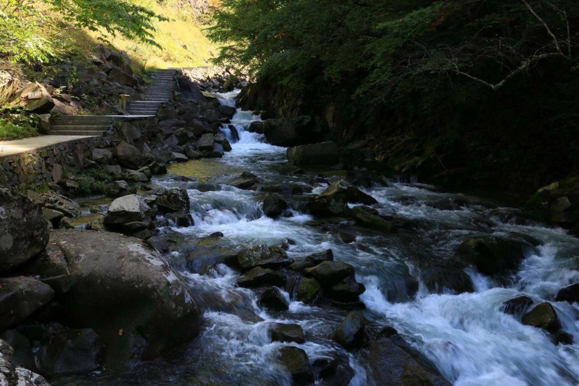 除鬼师